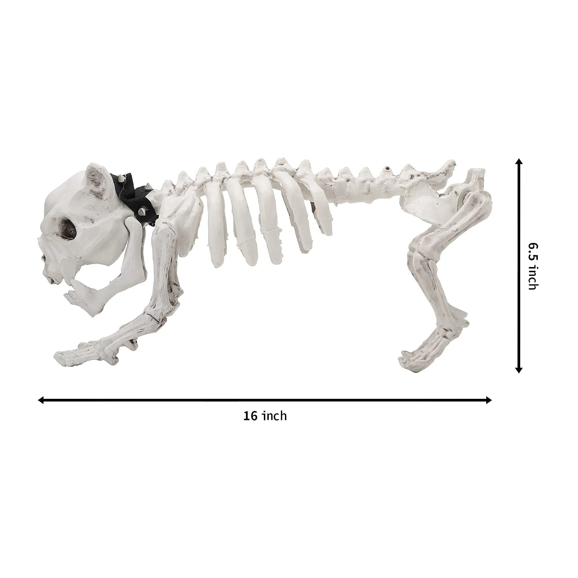 16in Halloween Movable Joints Dog Skeleton, 2 Pcs