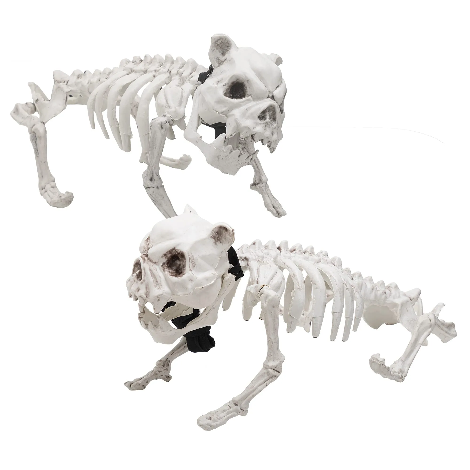 16in Halloween Movable Joints Dog Skeleton, 2 Pcs