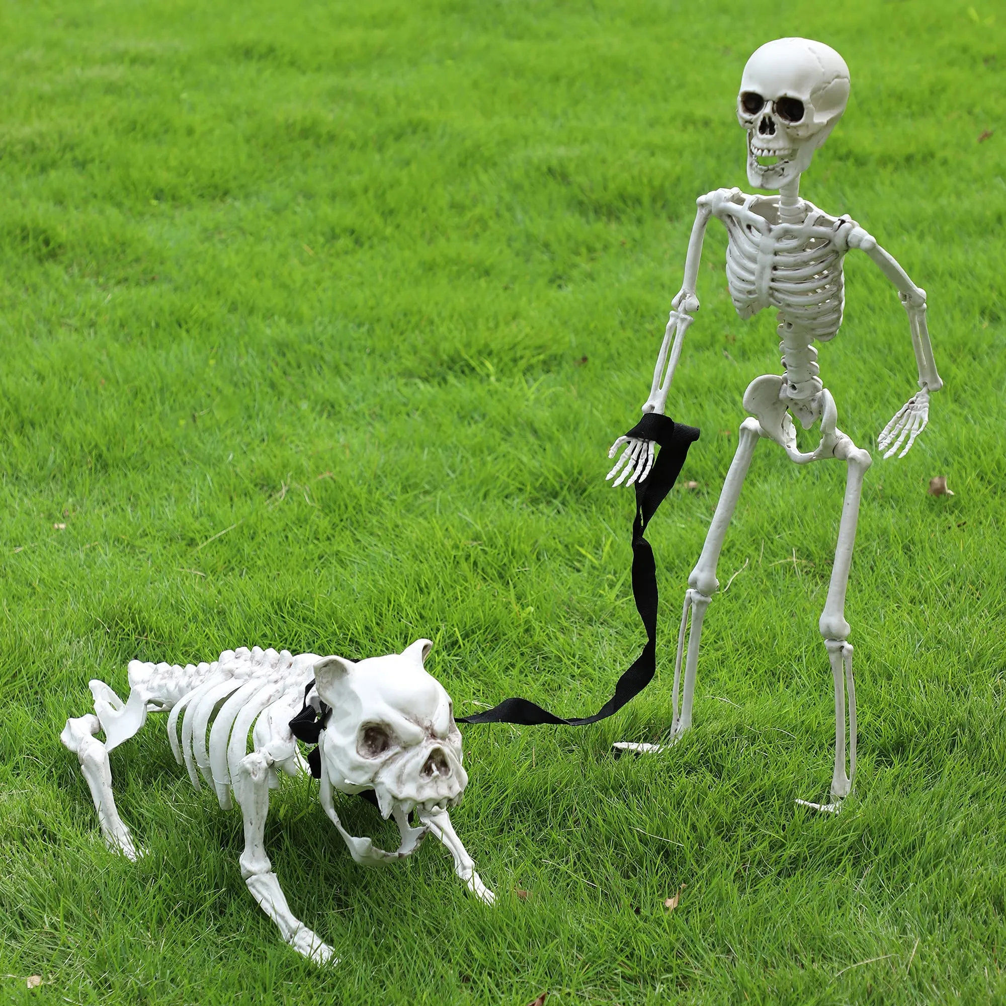 16in Halloween Movable Joints Dog Skeleton, 2 Pcs