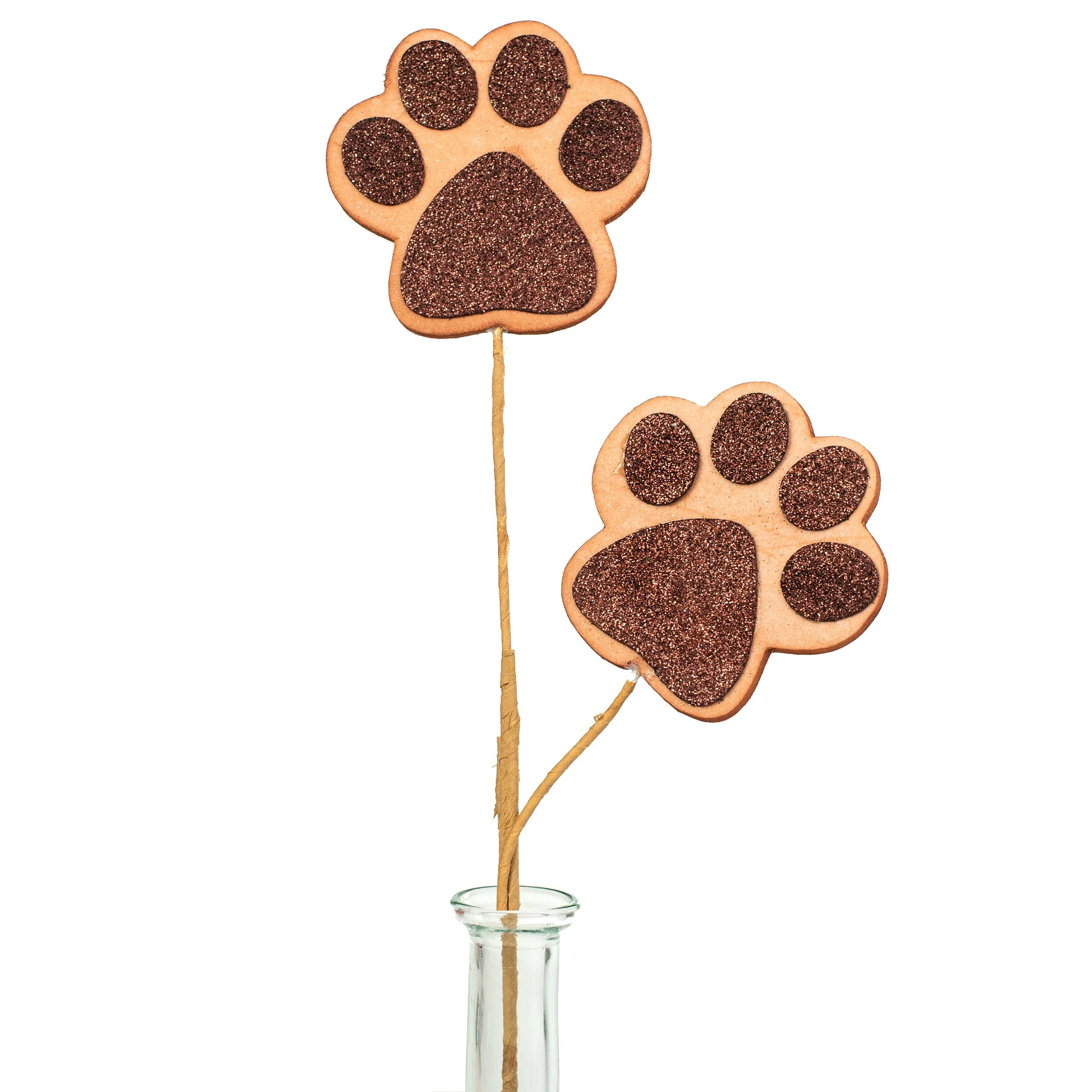 18" Dog Paw Spray: Brown