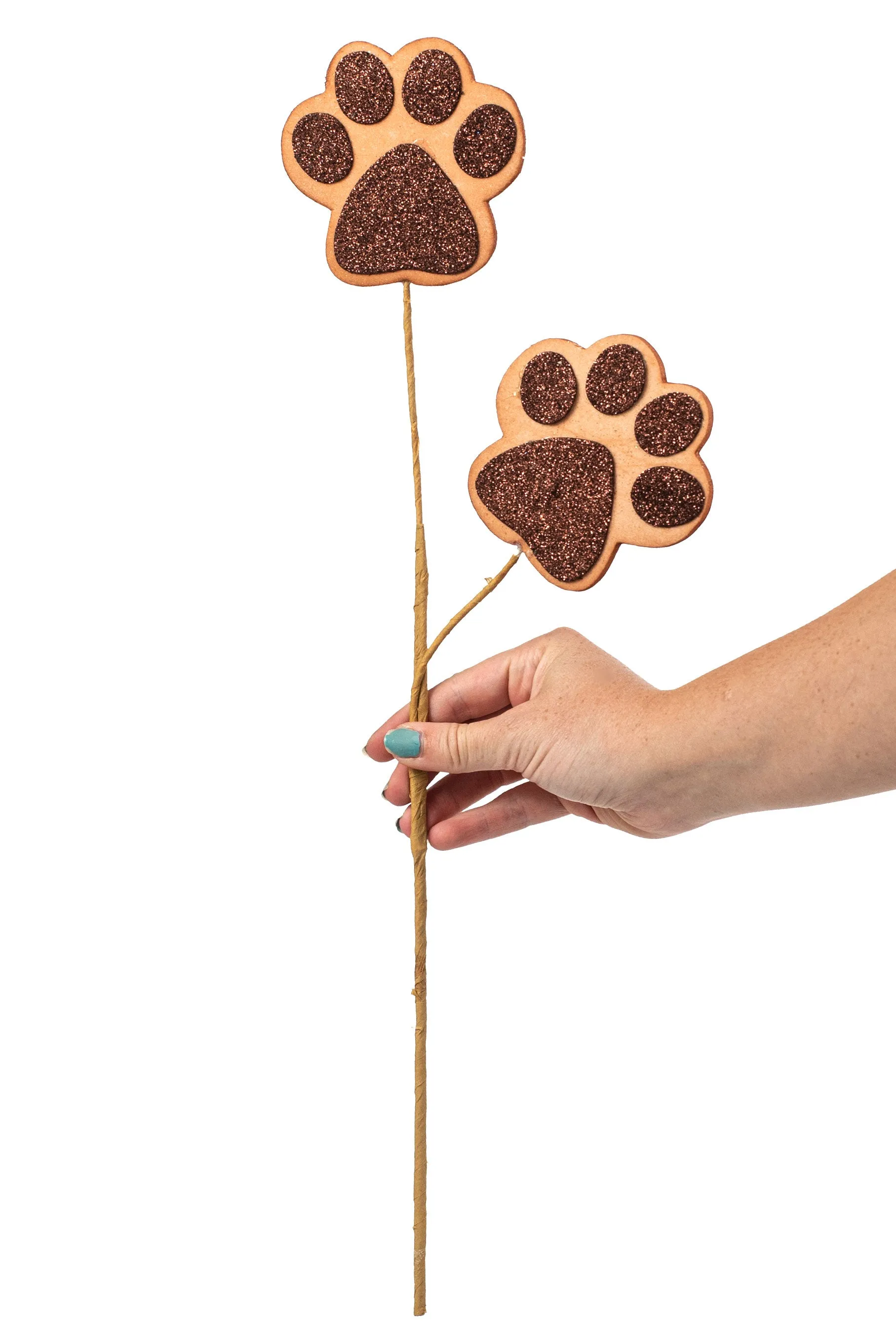 18" Dog Paw Spray: Brown