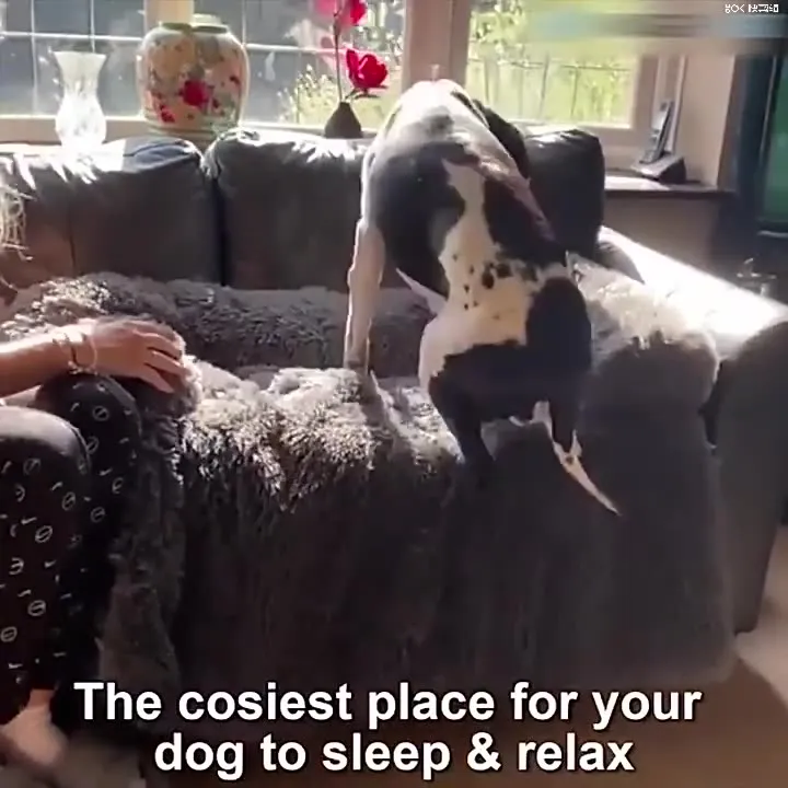 Airopaws™ Large Dog Bed Sofa: Fluffy Dogs Pet House with Long Plush Warm Kennel - Cozy Mat for Cats and Puppies, Washable Blanket Sofa Cover Included