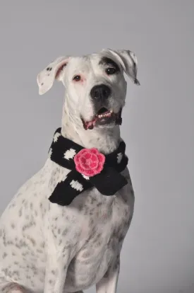 Chilly Dog Polkadot Black Scarf SALE