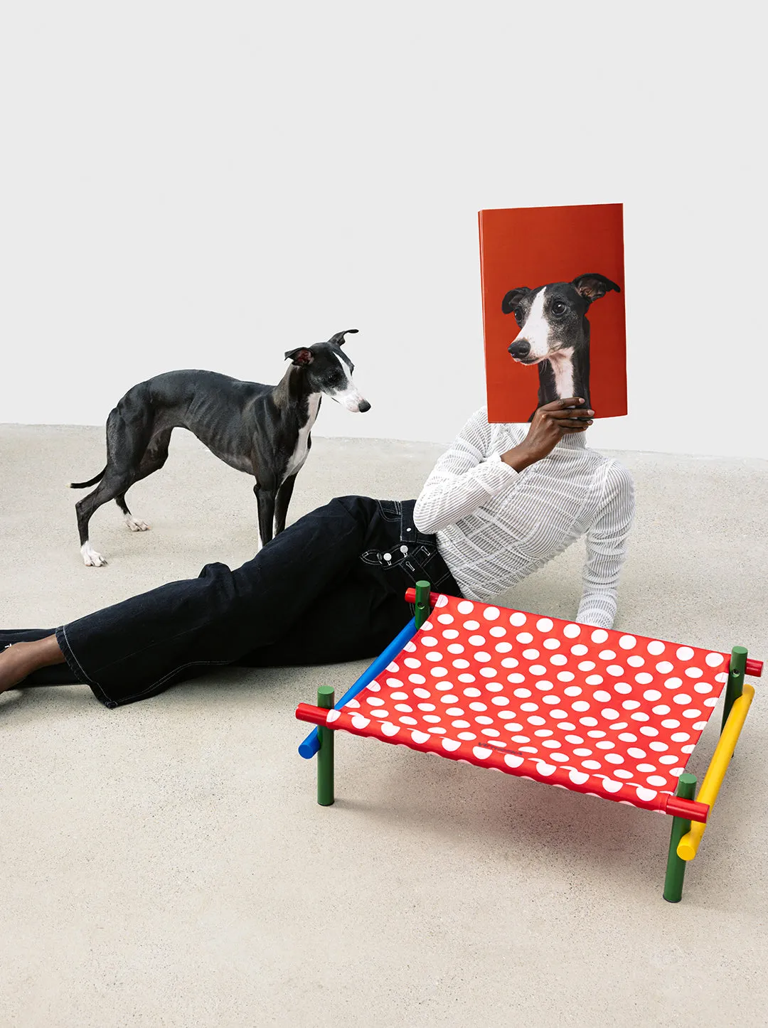 Chroma Pet Bed (Red)