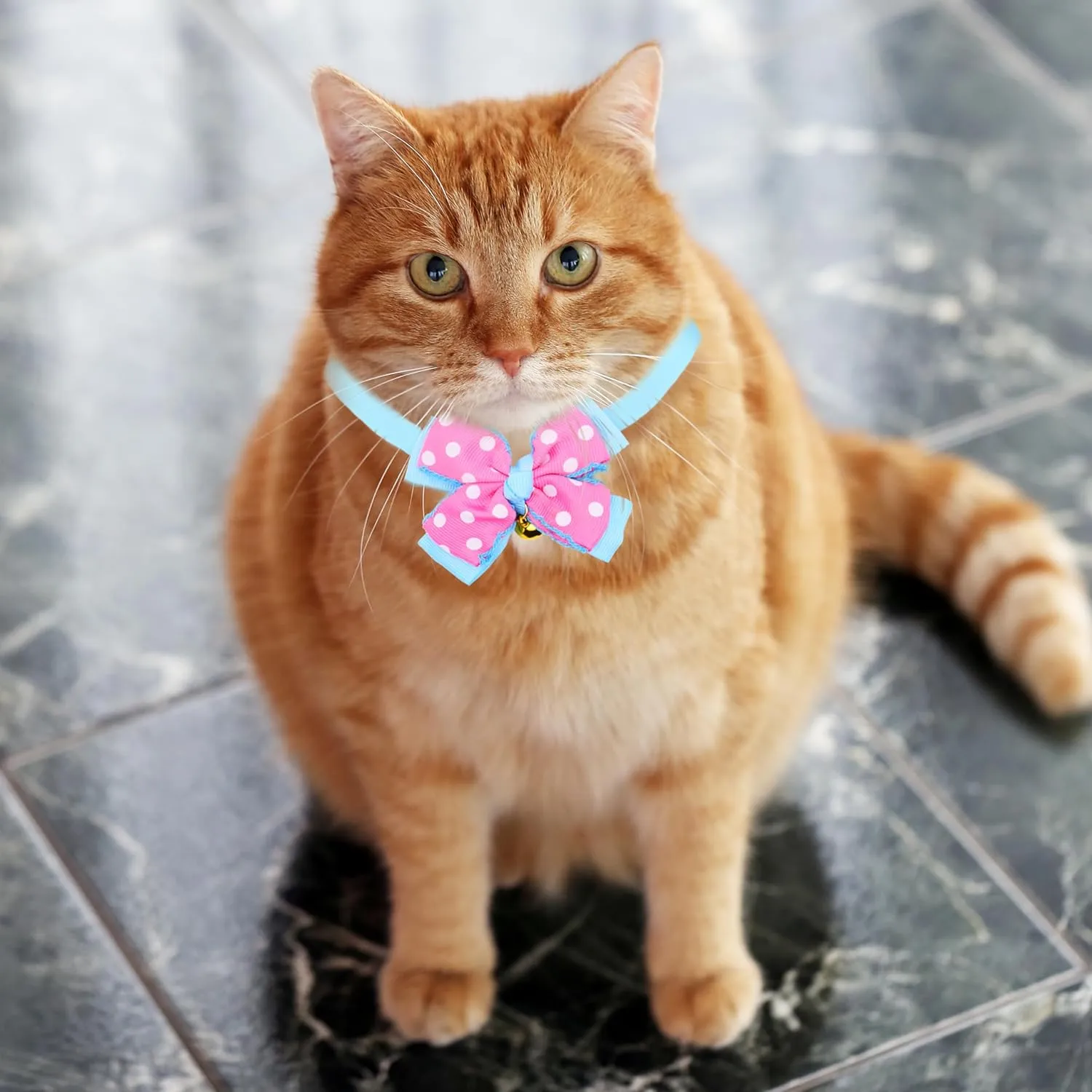 Dagslys Cat Collar with Bell Adjustable Pet Collar Breakaway Sky Blue Pink White Dots Spots Bow Tie Collar Grosgrain Ribbon Leather Kitten Cat Collar for Cats Pets Small Animals Costume Accessories