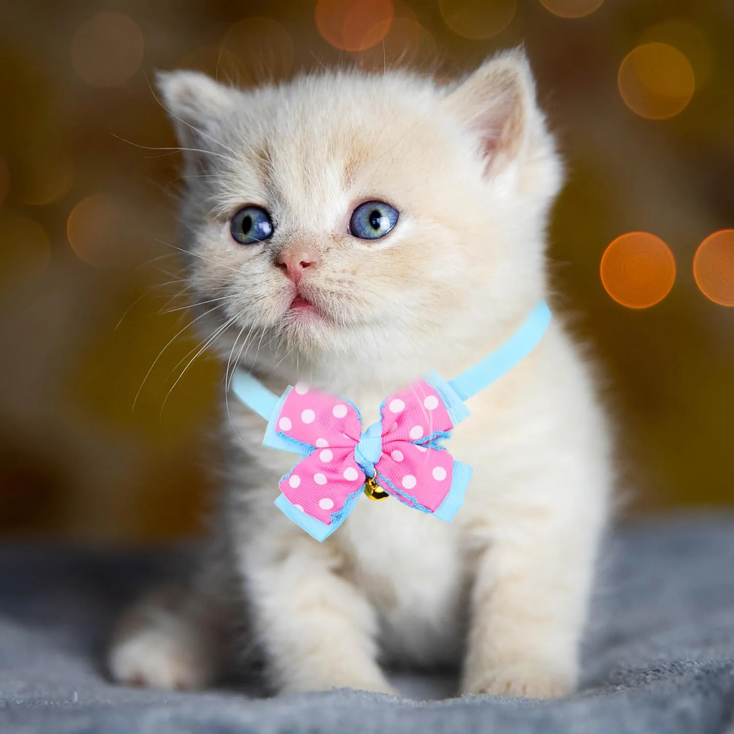 Dagslys Cat Collar with Bell Adjustable Pet Collar Breakaway Sky Blue Pink White Dots Spots Bow Tie Collar Grosgrain Ribbon Leather Kitten Cat Collar for Cats Pets Small Animals Costume Accessories