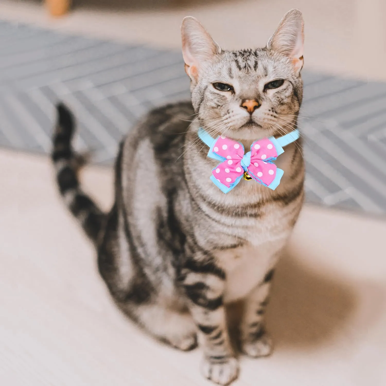 Dagslys Cat Collar with Bell Adjustable Pet Collar Breakaway Sky Blue Pink White Dots Spots Bow Tie Collar Grosgrain Ribbon Leather Kitten Cat Collar for Cats Pets Small Animals Costume Accessories
