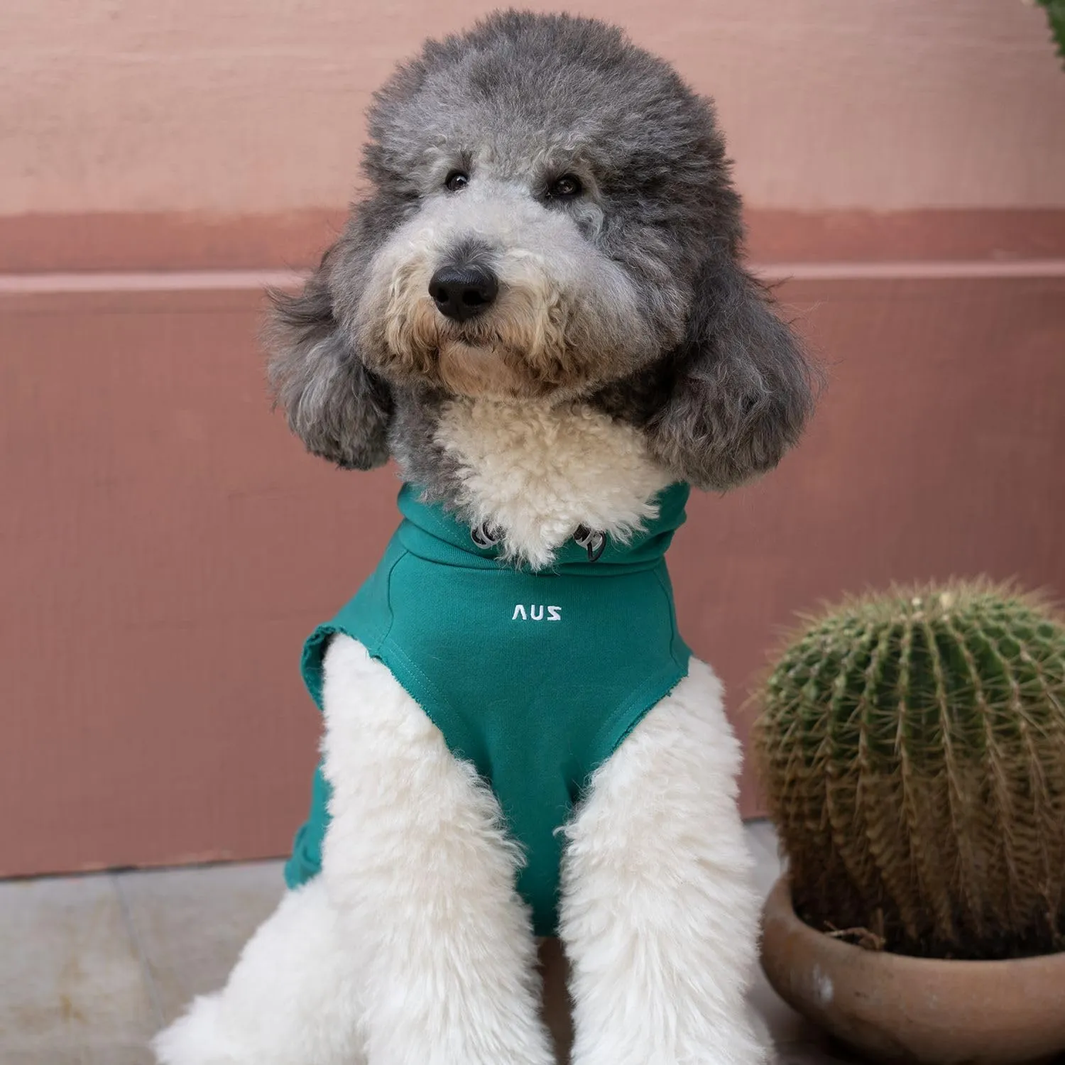Dog Pet Clothes Hoodies Sleeveless Sweatershirt for Extra Large Dogs Boy Girl Doggy Sweater Elastic Cotton Pullover Hoodie for Labrador Golden Retriever Border Collie German Shepherd - Green XXL