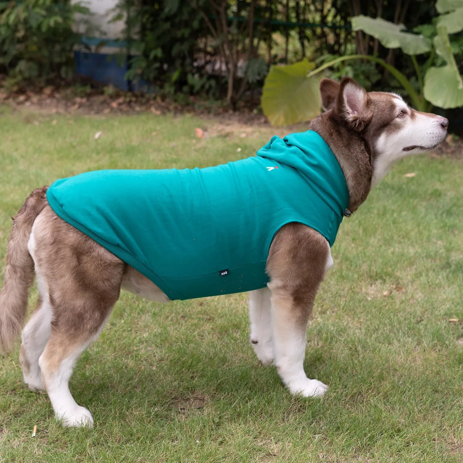 Dog Pet Clothes Hoodies Sleeveless Sweatershirt for Extra Large Dogs Boy Girl Doggy Sweater Elastic Cotton Pullover Hoodie for Labrador Golden Retriever Border Collie German Shepherd - Green XXL