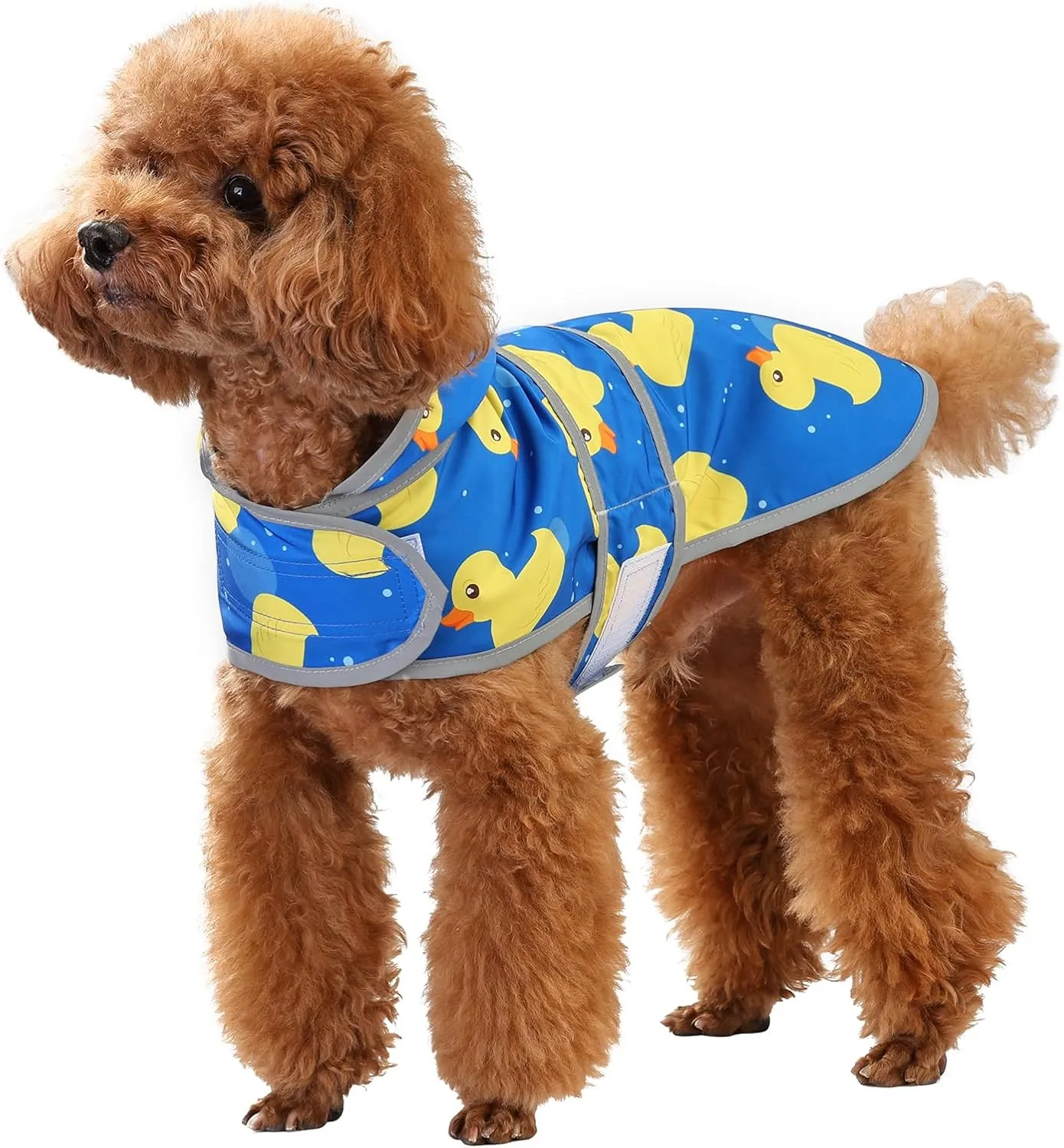 Dog Raincoat with Hood and Leash Hole, Adjustable Belly Strap, Reflective Strips, Lightweight Slicker Poncho Rain Jacket Coat for Small Medium Large Dogs and Puppies (A. Ducks, Small)
