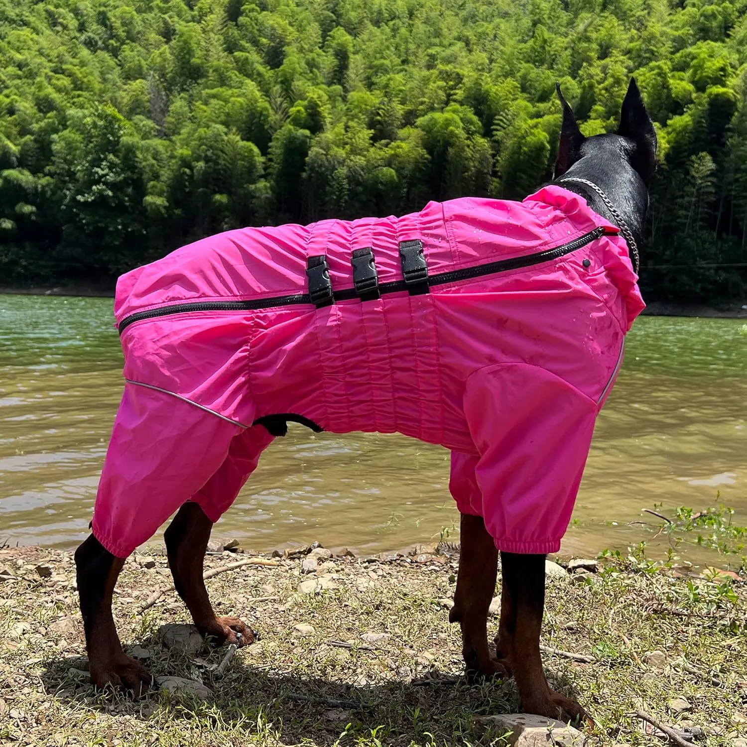 Dogs Waterproof Jacket, Lightweight Waterproof Jacket Reflective Safety Dog Raincoat Windproof Snow-Proof Dog Vest for Small Medium Large Dogs Rosered S