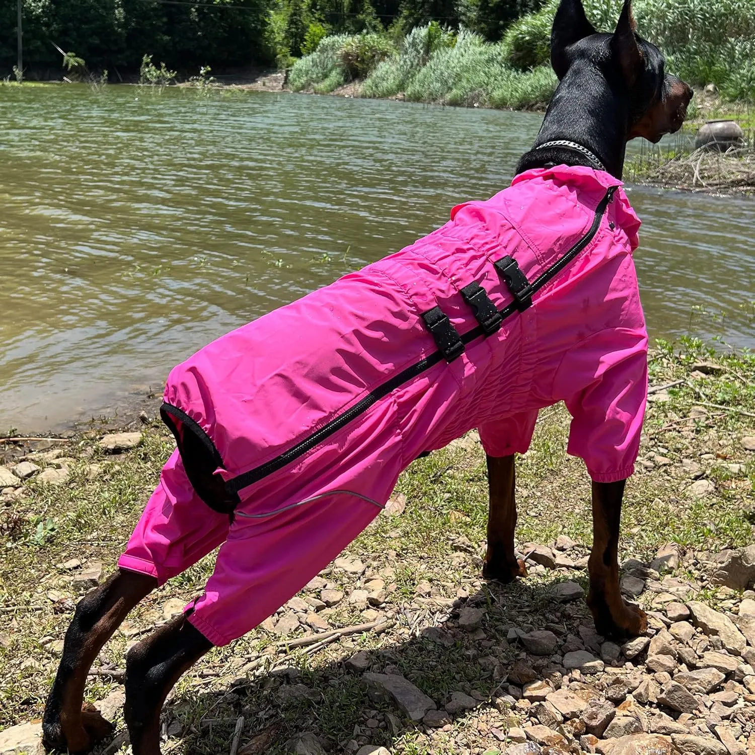 Dogs Waterproof Jacket, Lightweight Waterproof Jacket Reflective Safety Dog Raincoat Windproof Snow-Proof Dog Vest for Small Medium Large Dogs Rosered S