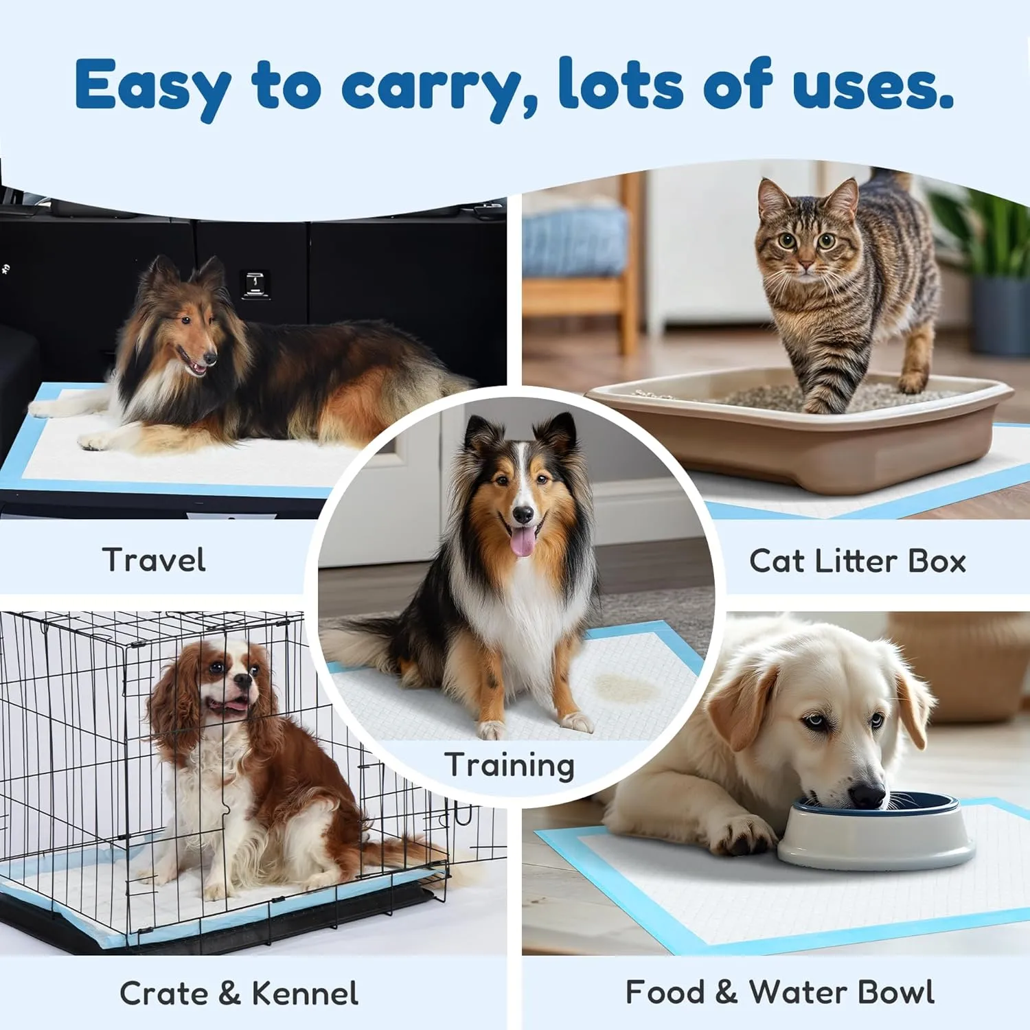 FluffyDream Super Absorbent Waterproof Dog and Puppy Pet Training Pad, Housebreaking Pet Pad, 50-Count Small-Size, 22"x22", Blue