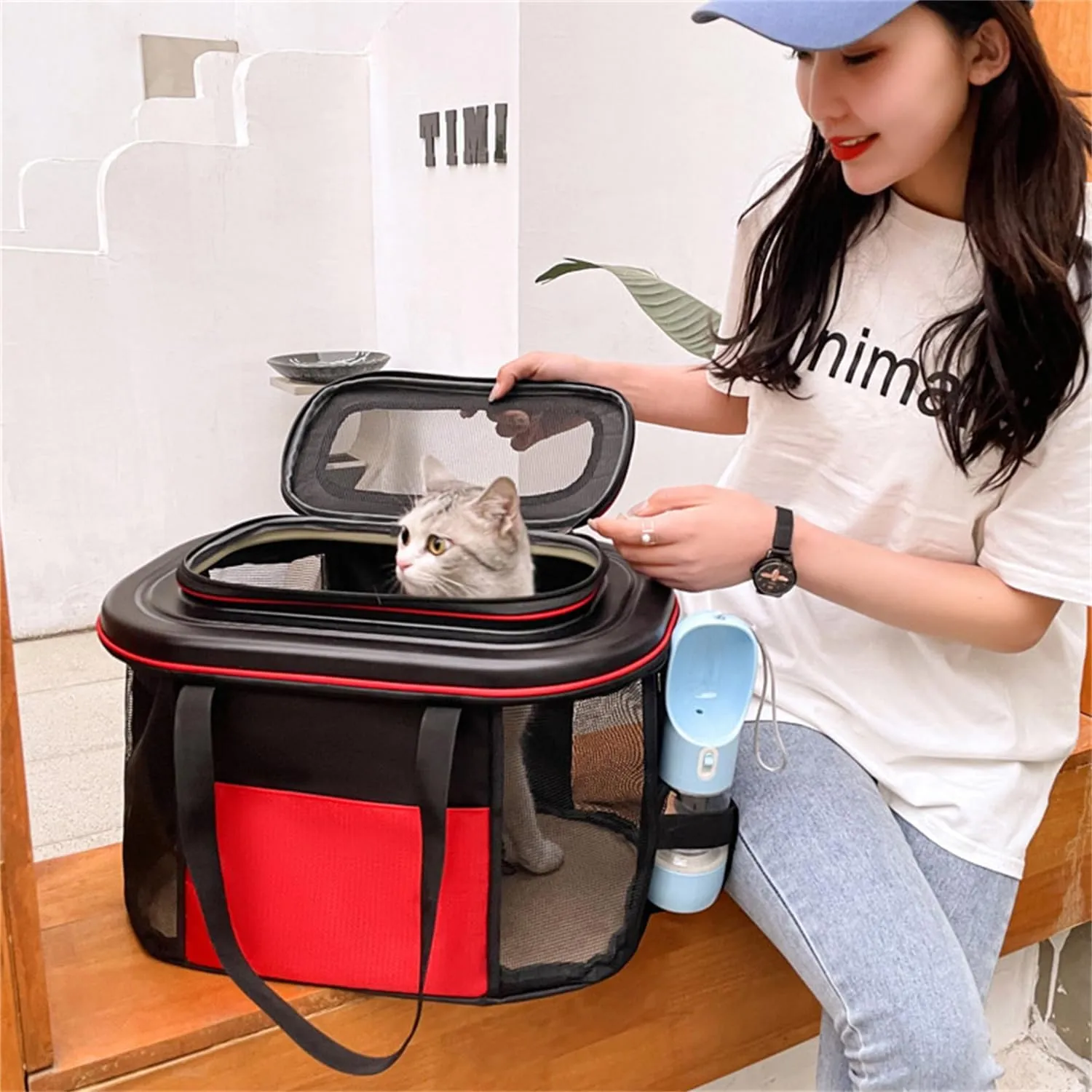 Foldable Vehicle Dog Cat Pet Crate for Travel, Dog Cat Carrier with Wheels TSA Airline Approved Rolling Pet Carrier (Orange,Only pet Carrier)