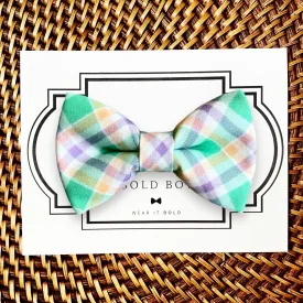 Green & Purple Easter Dog Bow Tie