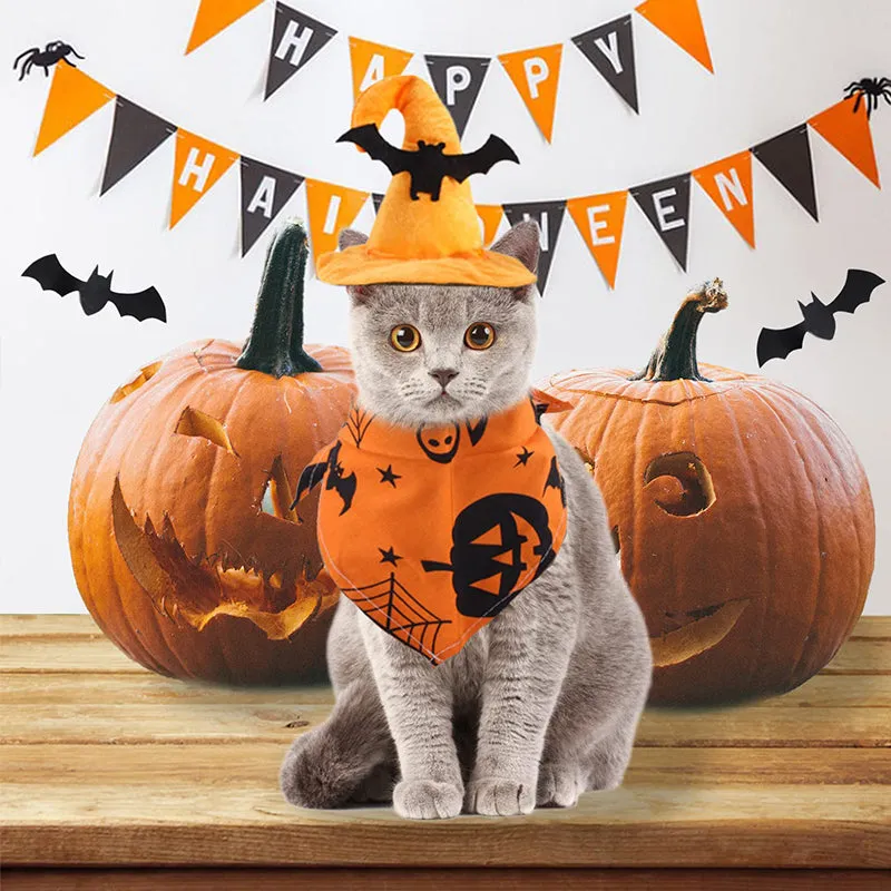 Halloween Party Accessories Costumes