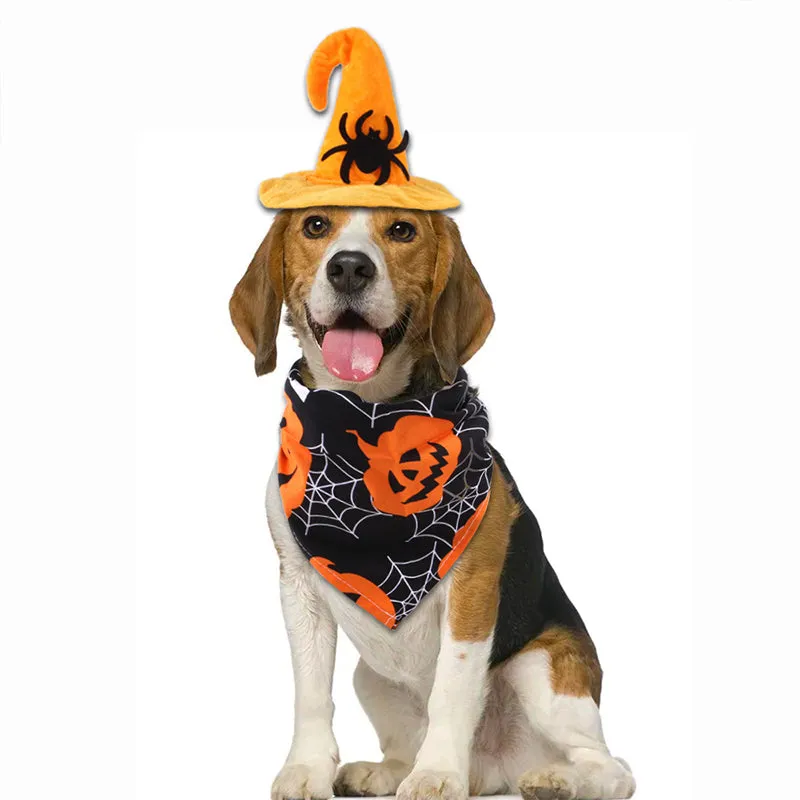 Halloween Party Accessories Costumes