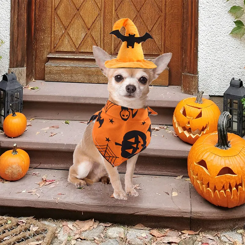 Halloween Party Accessories Costumes
