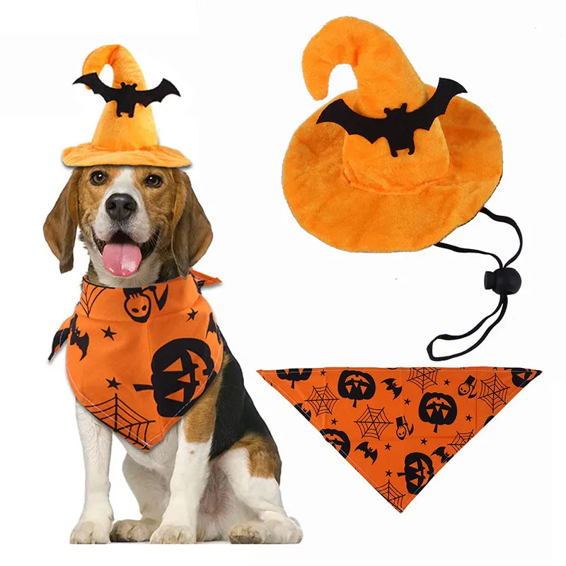 Halloween Party Accessories Costumes