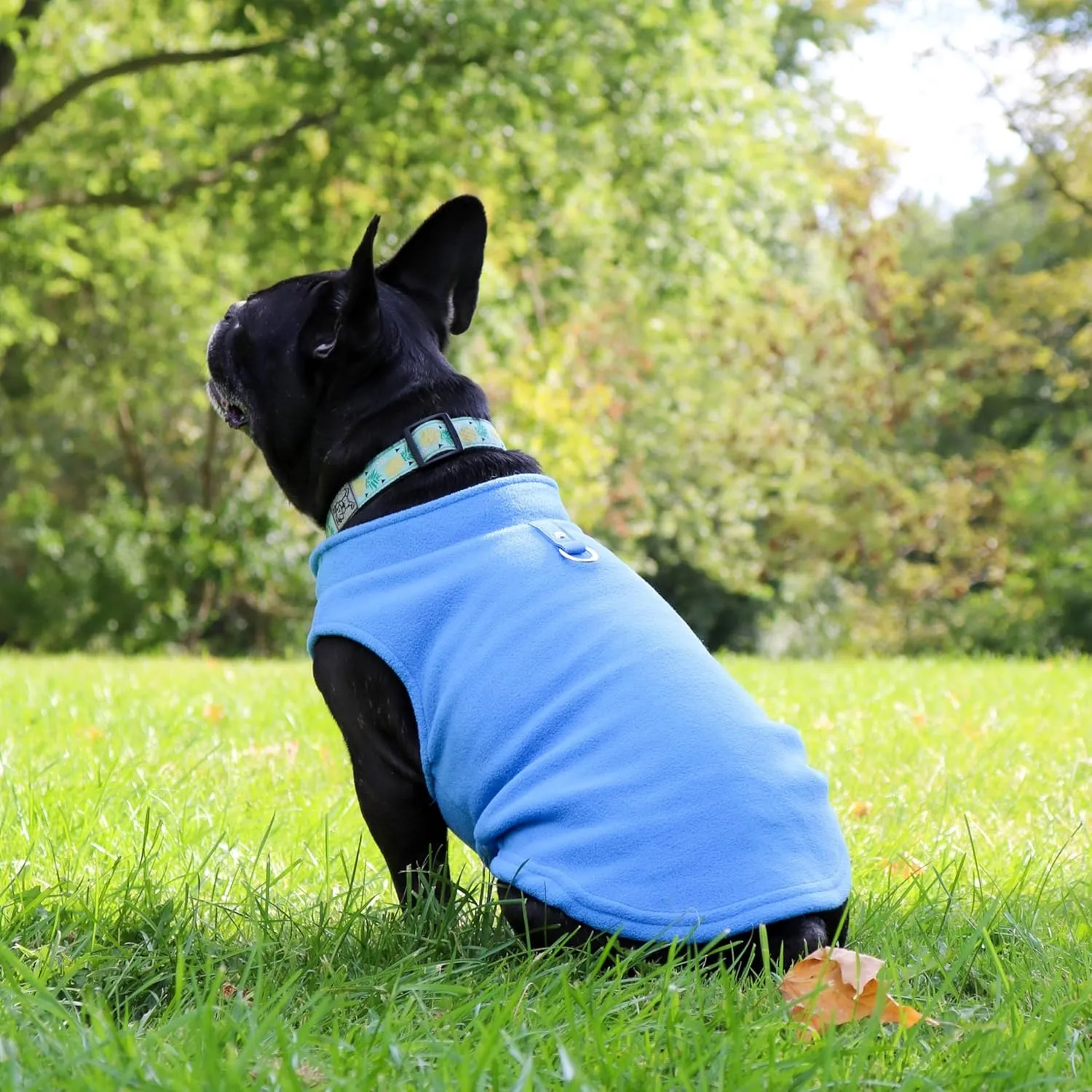 JACKO & CO - Fleece Vest Sweater with Leash Ring - Soft Lightweight Breathable for Puppies Small Medium Dogs, Kitten, Cats, Chihuahua - Warm for Fall/Autumn/Winter (Blue, Large 10-16lbs)