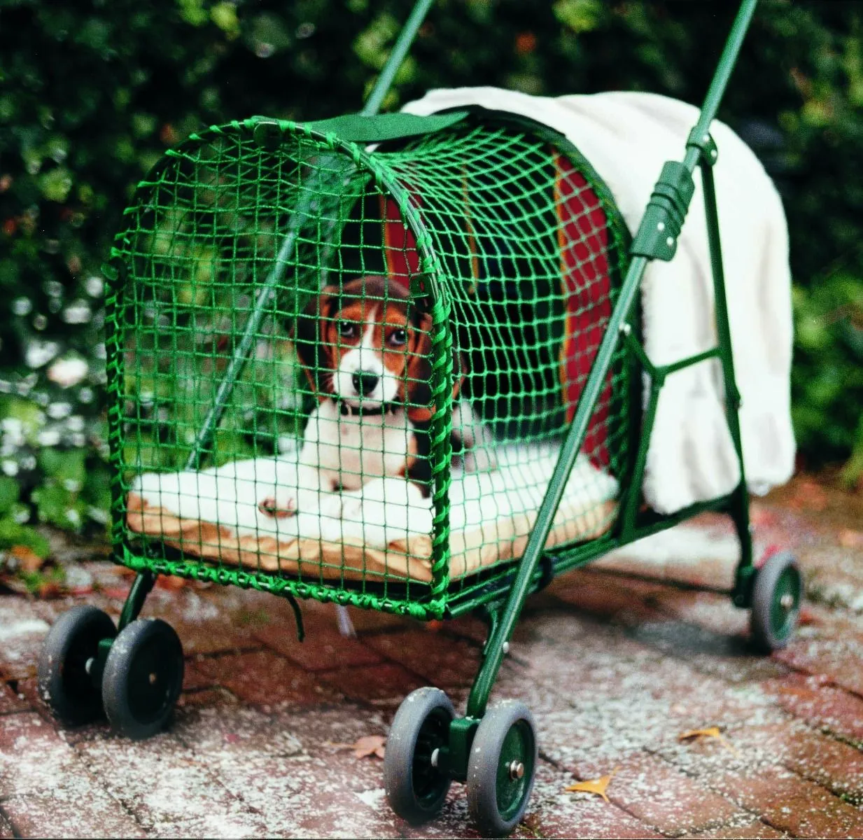 Kittywalk SUV Stroller All Weather Gear