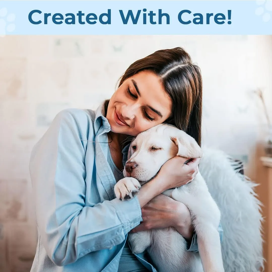Kuber Industries Rectangular Dog & Cat Bed|Premium Cool Ice Silk Polyester With Bottom Mesh|MultiUtility Self-Cooling Pad For Dog & Cat|Light-weight & Durable Dog Bed|ZQCJ001LB-L|Light Blue(Pack Of 4)