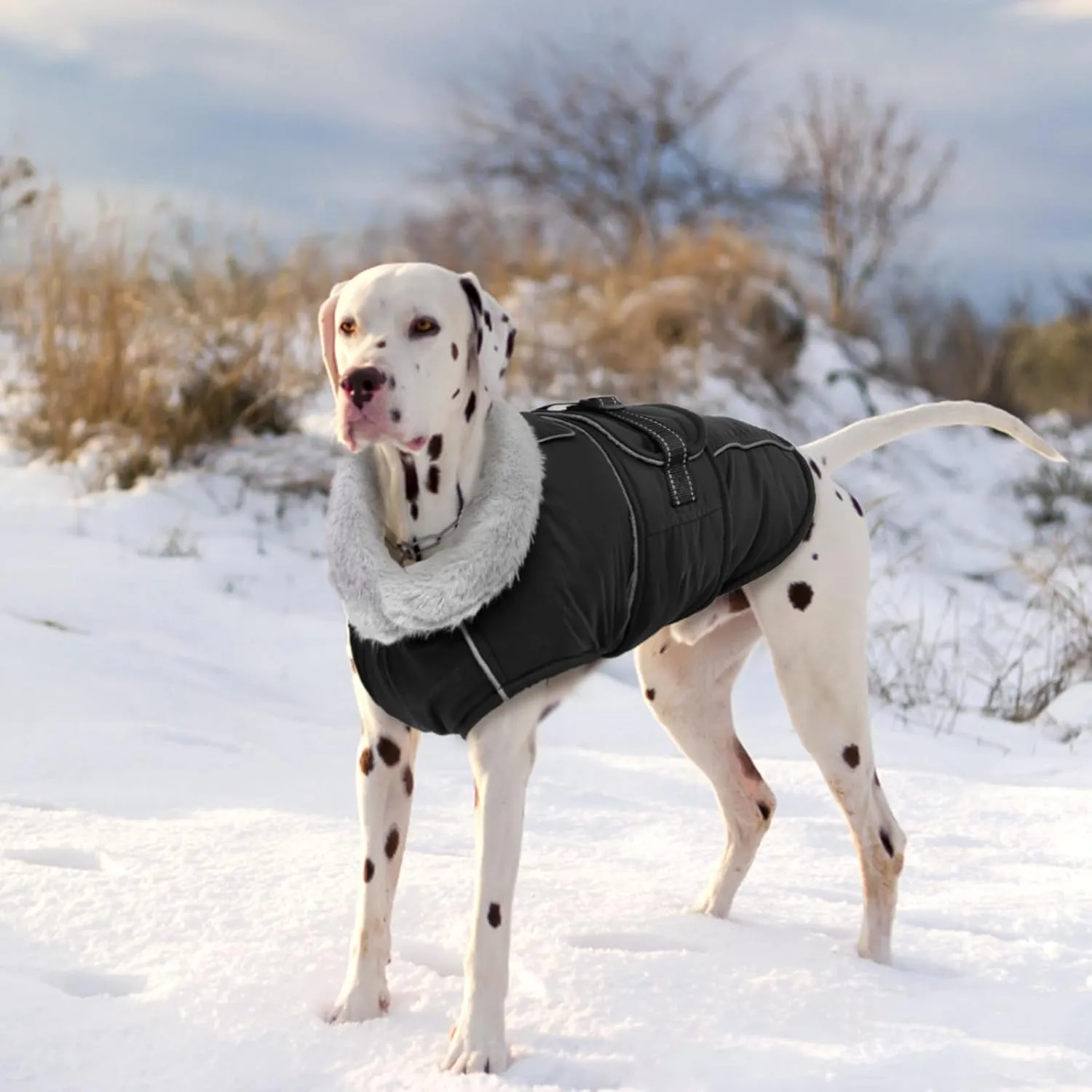 Lelepet Warm Dog Coat Reflective Dog Fleece Vest Waterproof Jacket Windproof Winter Cold Weather Coats with Adjustable Buckle Jackets for Large Dogs, Black, L