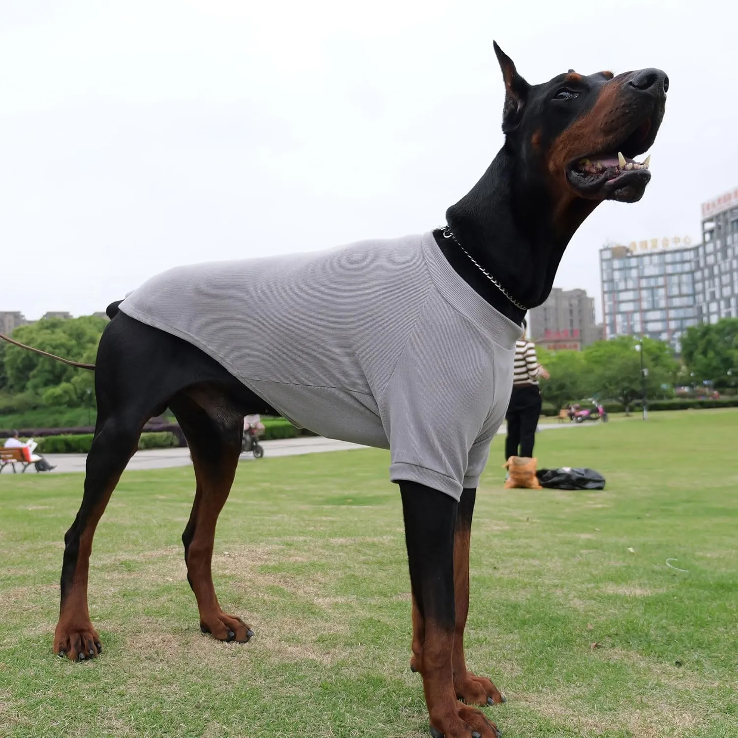 Lovelonglong Ribbed Dog T-Shirt Cotton Knitted Dog Sweaters for All Season Pet T-Shirts for Large Medium Small Dogs Dark Gray 3XL