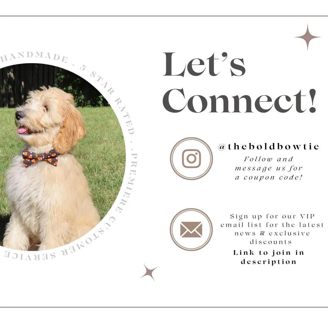 Navy Floral Bow for Dog Collar and Cat Collar