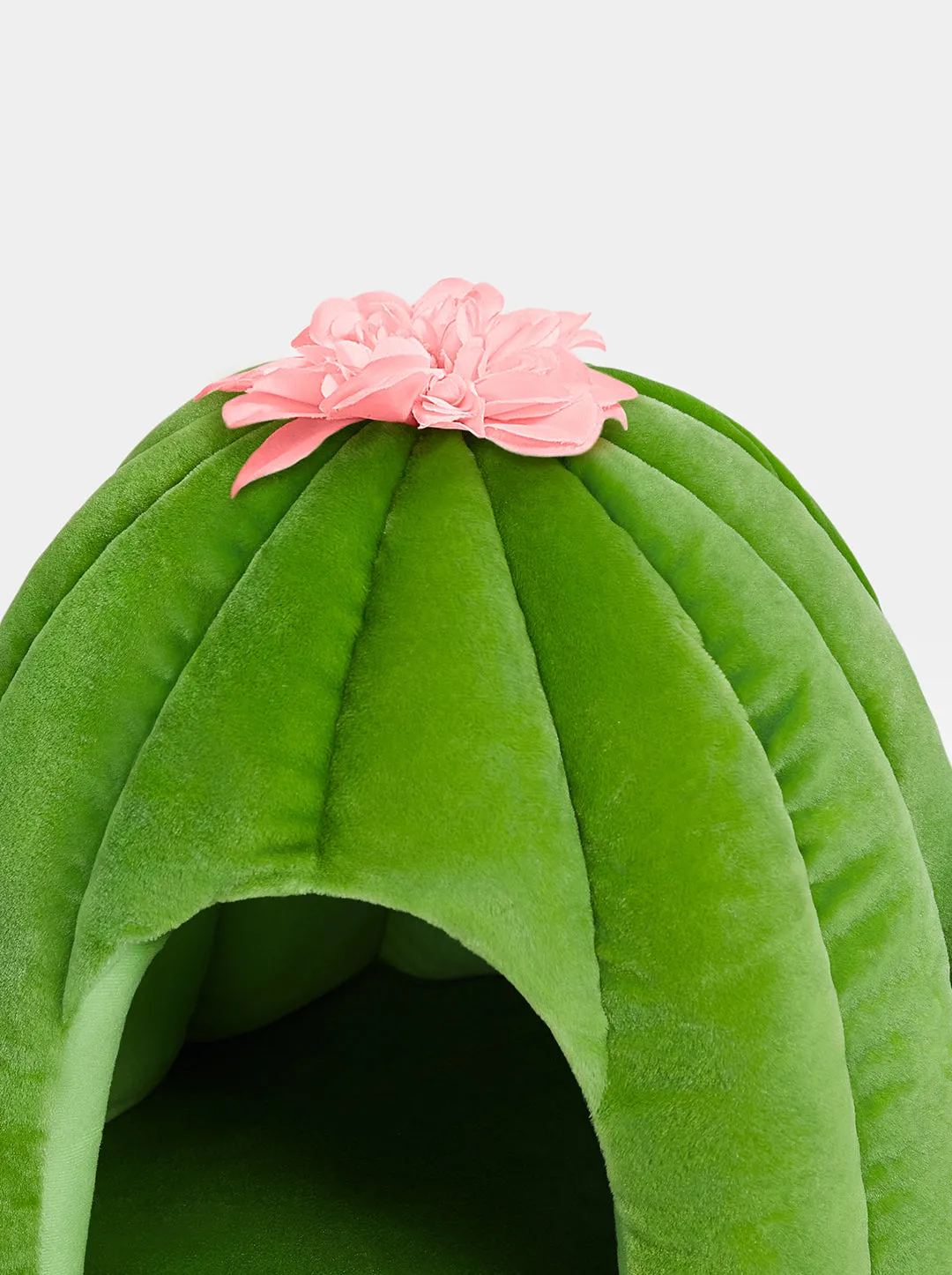 Oasis Cactus Pet Bed