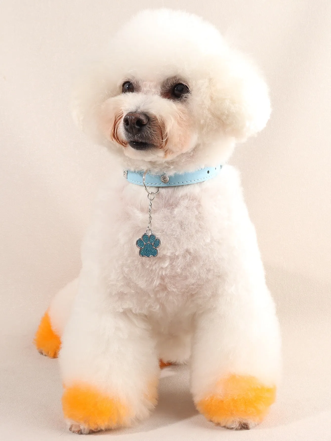 Paw Pendant Pet Collar