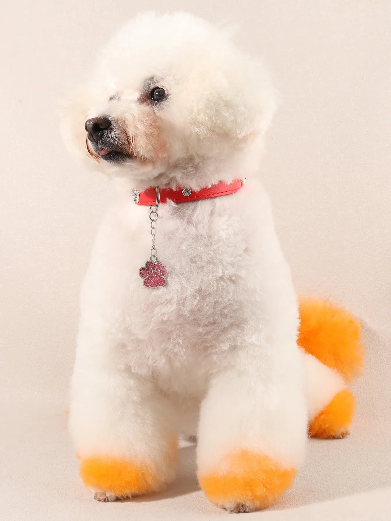 Paw Pendant Pet Collar