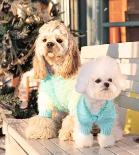 Pet Sweater Duo: Stylish Dog and Cat Clothes for Autumn and Winter - Your Furry Friends' Ultimate Seasonal Wardrobe Upgrade