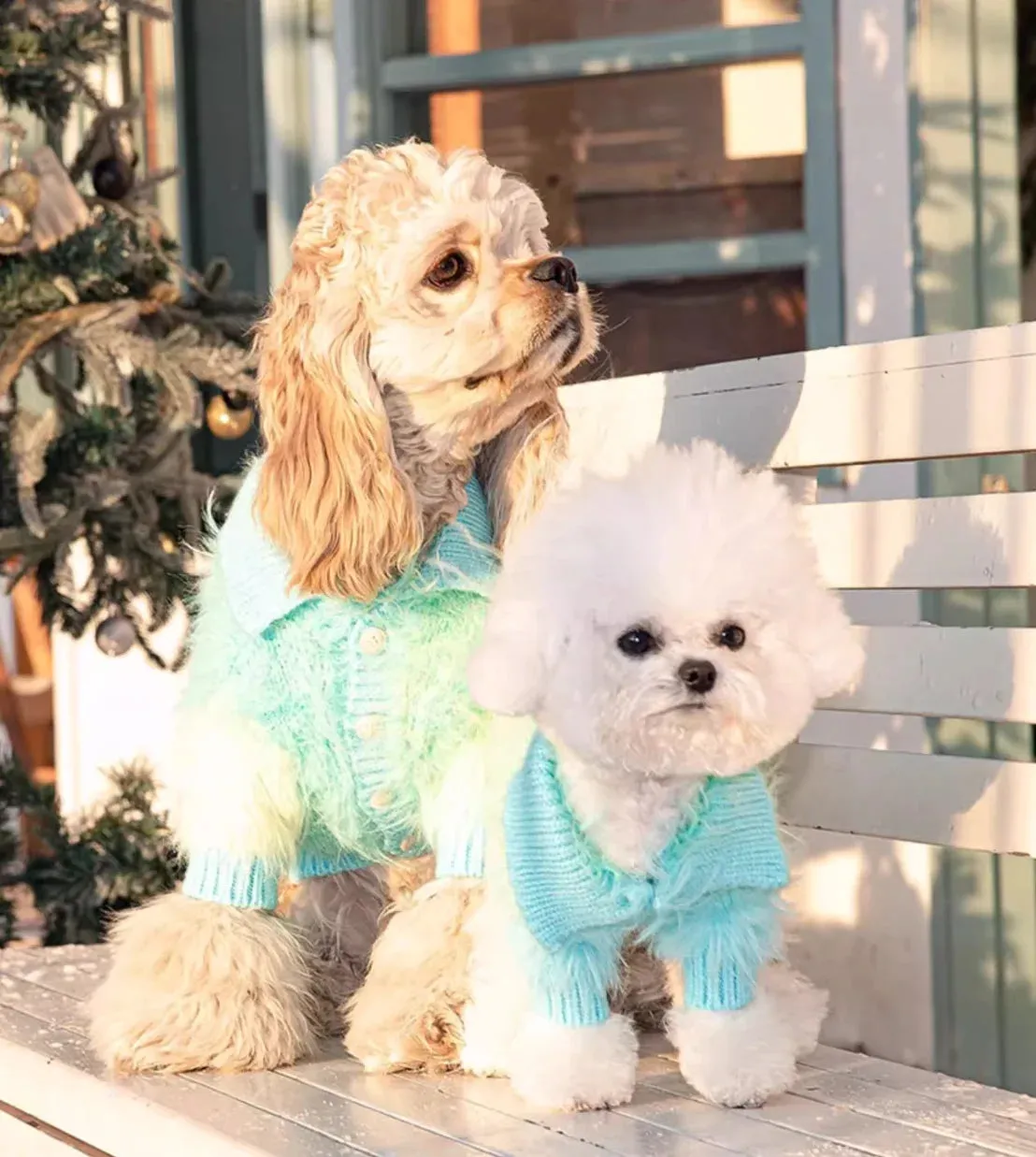 Pet Sweater Duo: Stylish Dog and Cat Clothes for Autumn and Winter - Your Furry Friends' Ultimate Seasonal Wardrobe Upgrade