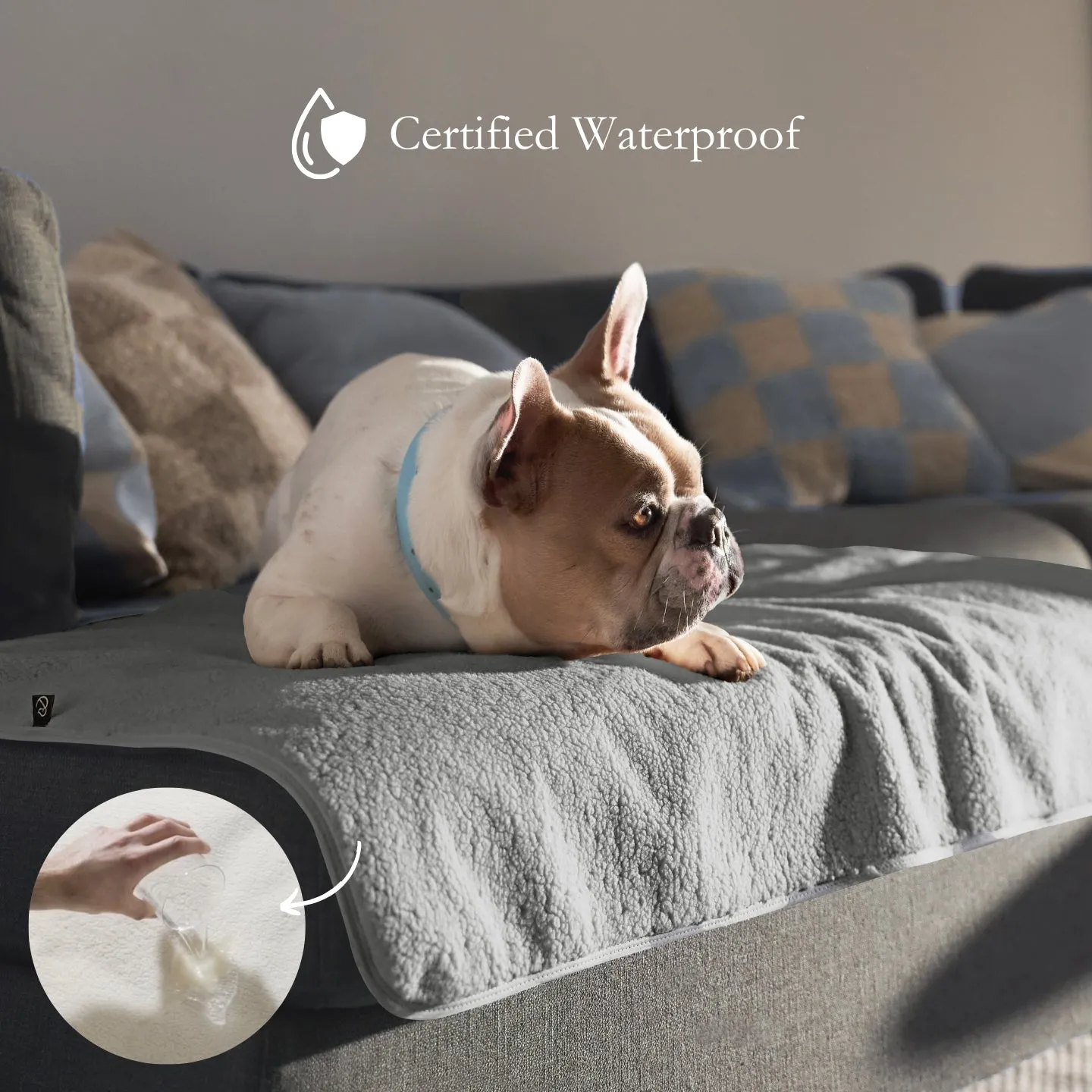 PetProtector Waterproof Pet Blanket