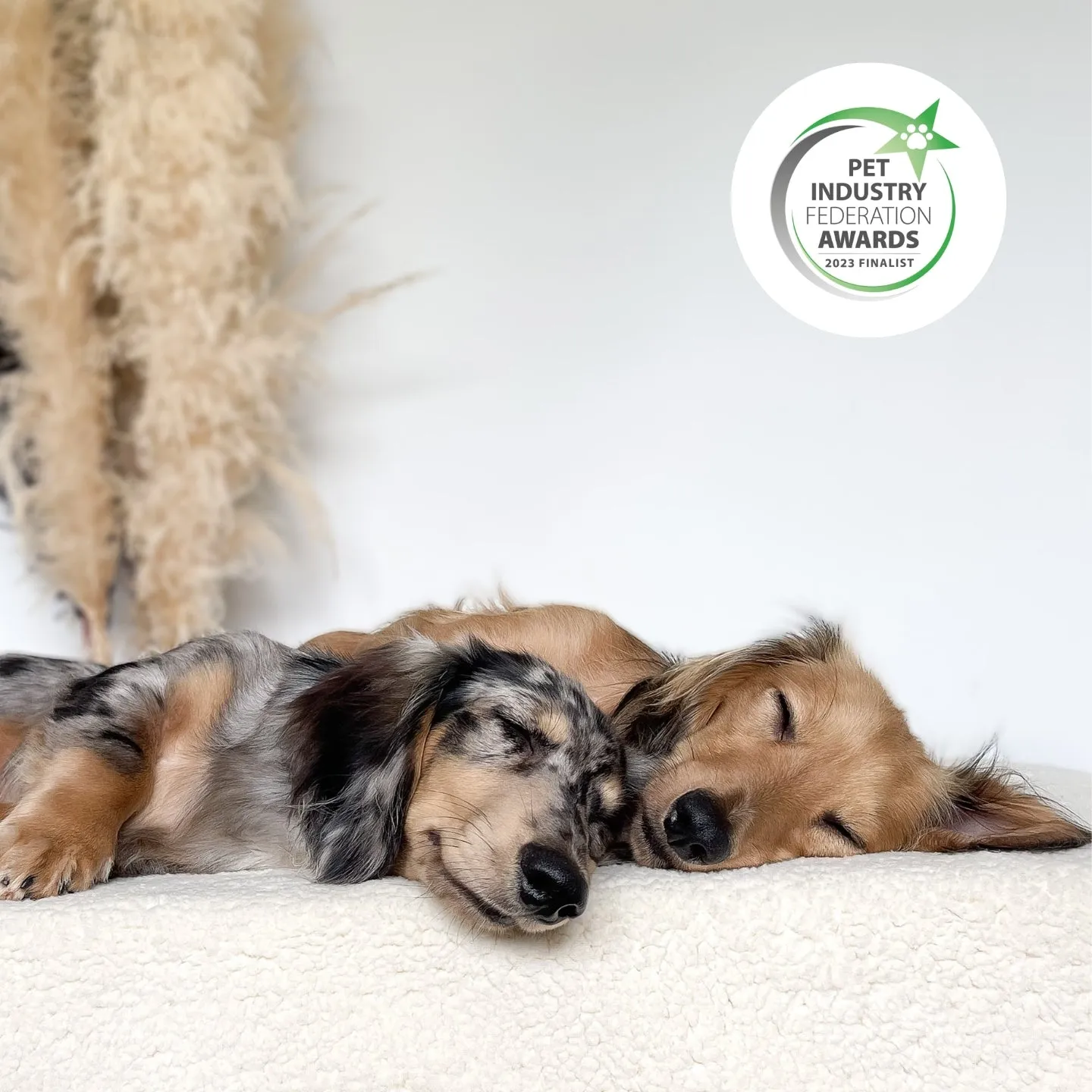 PetProtector Waterproof Pet Blanket