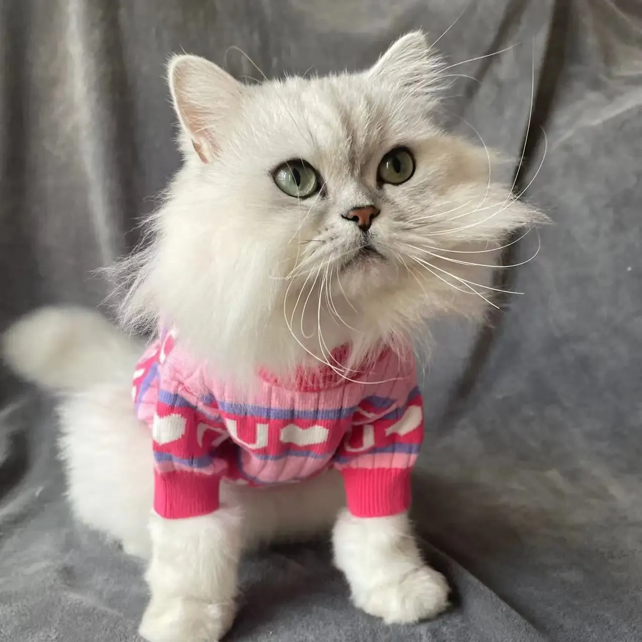 Pink Perfection: Autumn/Winter Luxury Pet Dog Clothes - Keep Warm Knit Sweater for Cats and Dogs, Fashionable Comfort for Schnauzers and Teddies