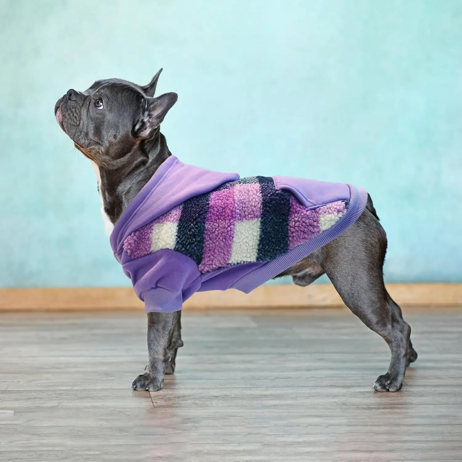 PUPTECK Dog Hoodie Puppy Sweatshirt Warm Dog Sweater Winter Clothes Cold Weather Coats for Small Medium Large Dogs, Purple, XS