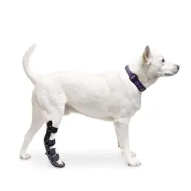 Walkin’ Rear Pet Splint