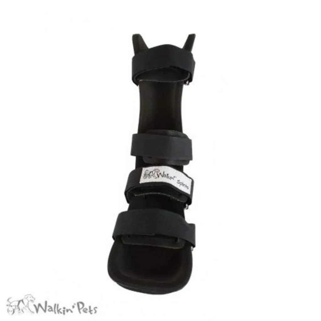 Walkin’ Rear Pet Splint