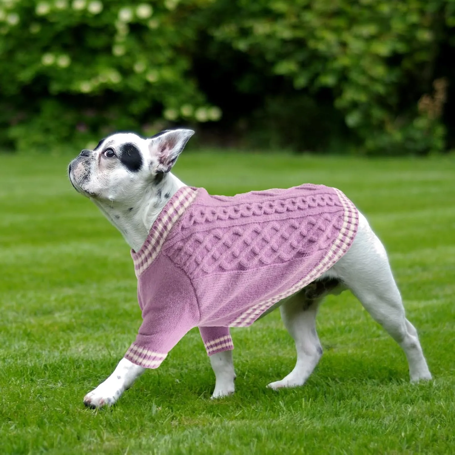 XL Dog Sweater for Extra Large Dogs - Fall Winter V-Neck Knit Pet Apparel for Pitbull, Boston Terrier and Corgi, Purple, XLarge